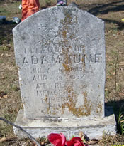 Adam June